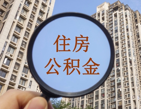 蓬莱退休后查不到公积金明细了吗（退休后公积金查询不到原因）
